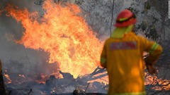 豪南東部で森林火災続く　死者３人、コアラ大量死も