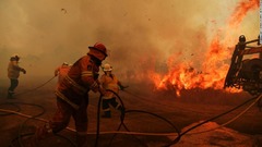 大規模森林火災の豪州、シドニーで水不足の懸念