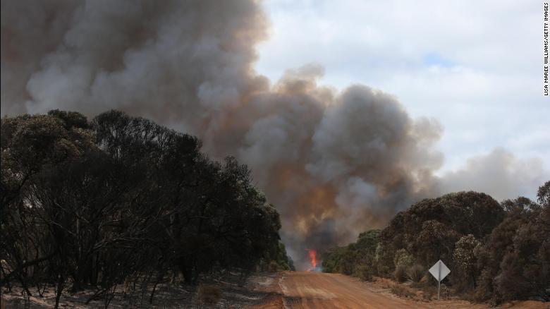 南オーストラリア州カラッタで起きた山火事で立ち上る煙（２０２０年１月１１日）/Lisa Maree Williams/Getty Images