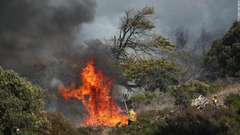 南アのテーブルマウンテン国立公園で「制御不能」の山火事