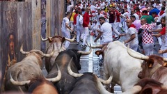 牛追い祭り、３年ぶりに復活　６人負傷　スペイン