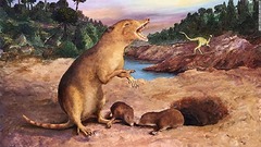 世界最古の哺乳類、２億２５００万年前に生息　歯の化石調査で発見