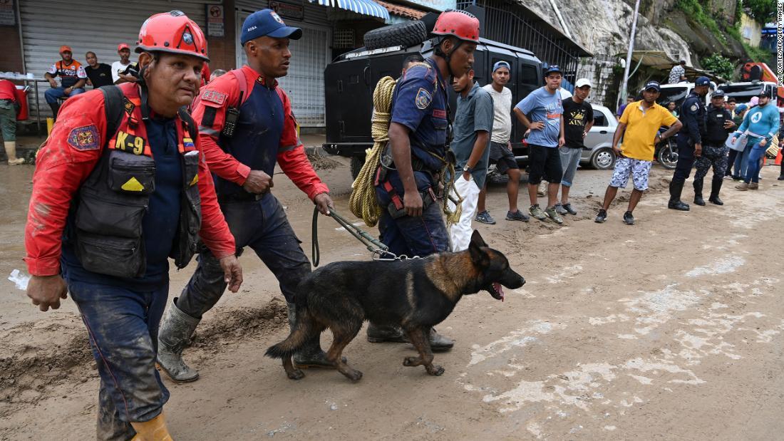 生存者の捜索に救助犬も参加＝９日/Yuri Cortez/AFP/Getty Images