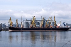 黒海からの穀物輸出合意、２カ月の延長