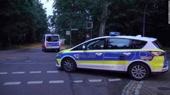 ベルリン郊外にライオン出没？　警官１００人態勢で捜索、ヘリやドローンも出動