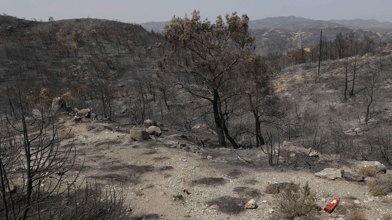 山火事で被害を受けたロードス島/Nicolas Economou/Reuters