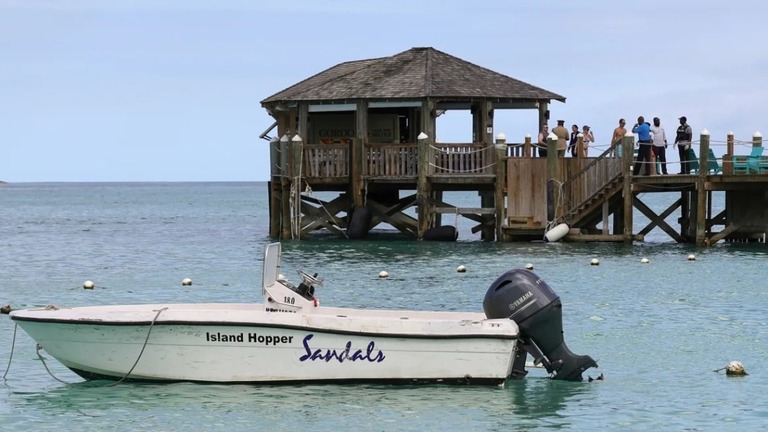 カリブ海バハマで、「パドルボード」を楽しんでいた米女性がサメに襲われて死亡した/Dante Carrer/Reuters