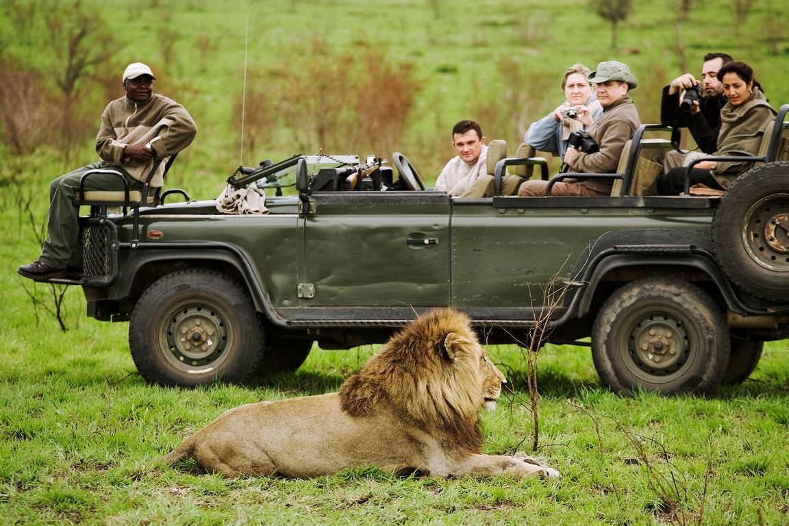 草地に横たわるライオンを車両から撮影するツアー客ら/Martin Harvey/The Image Bank RF/Getty Images